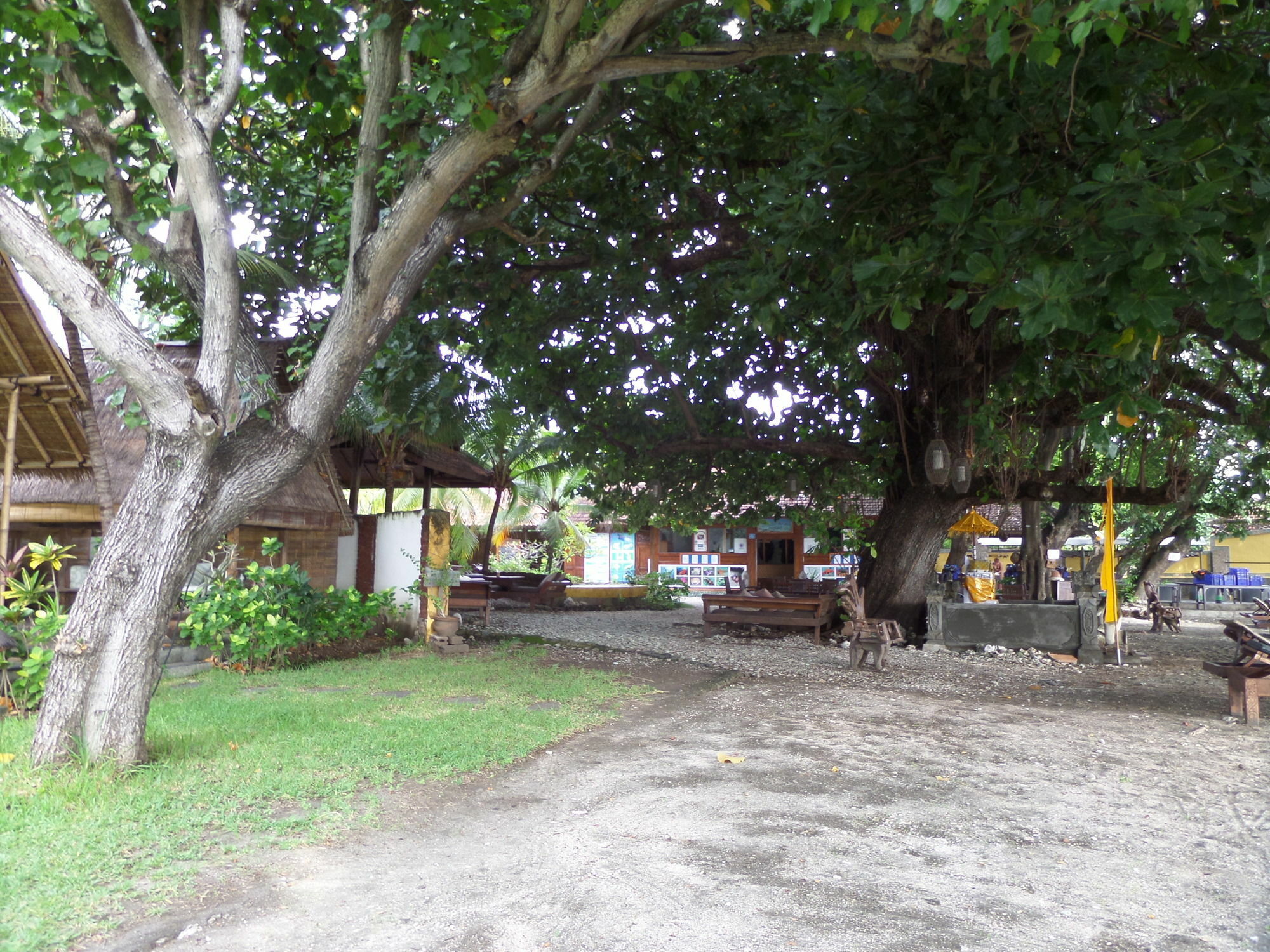 Taman Selini Wahana Beach Resort Pemuteran  Exterior photo