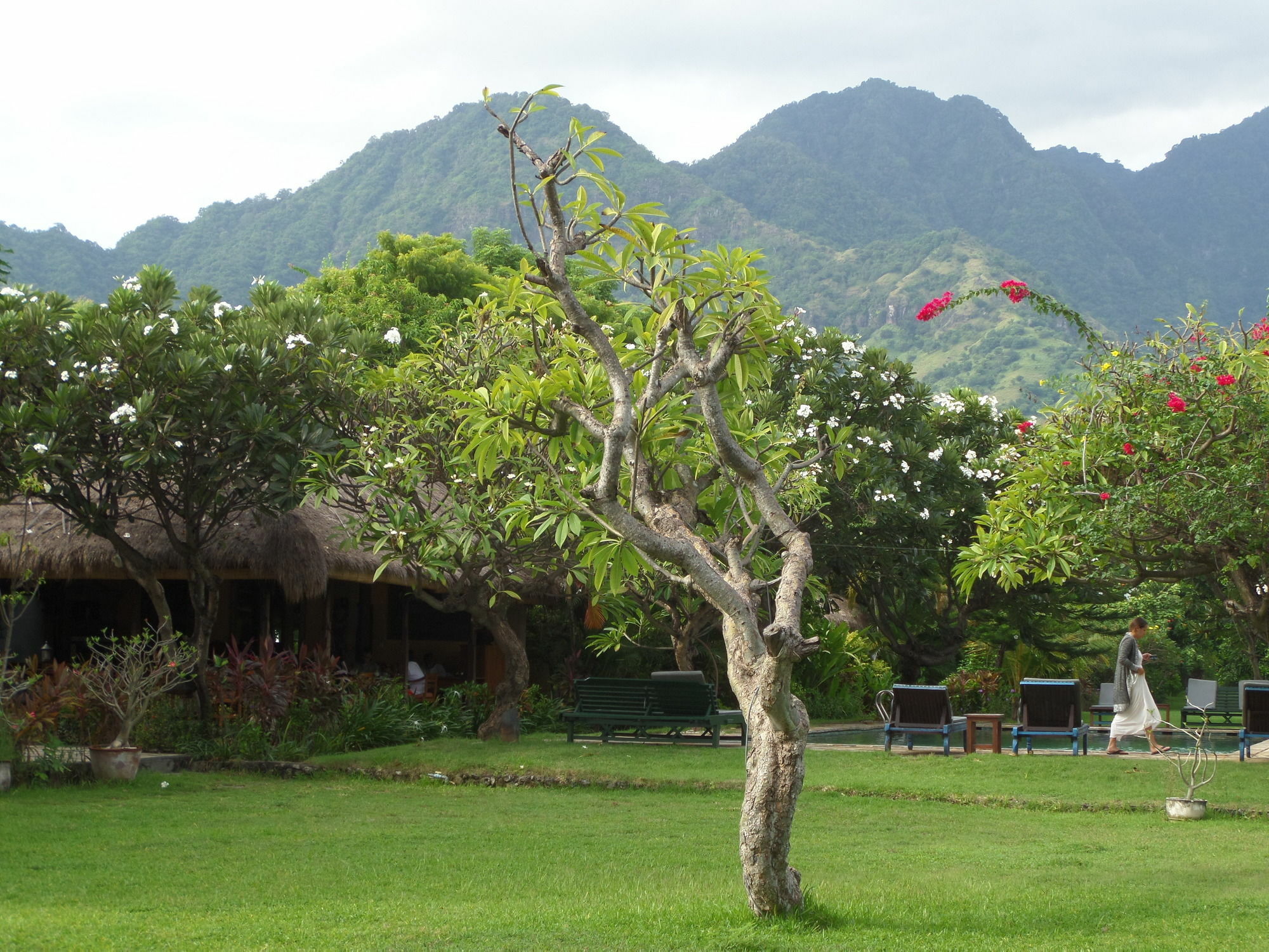 Taman Selini Wahana Beach Resort Pemuteran  Exterior photo
